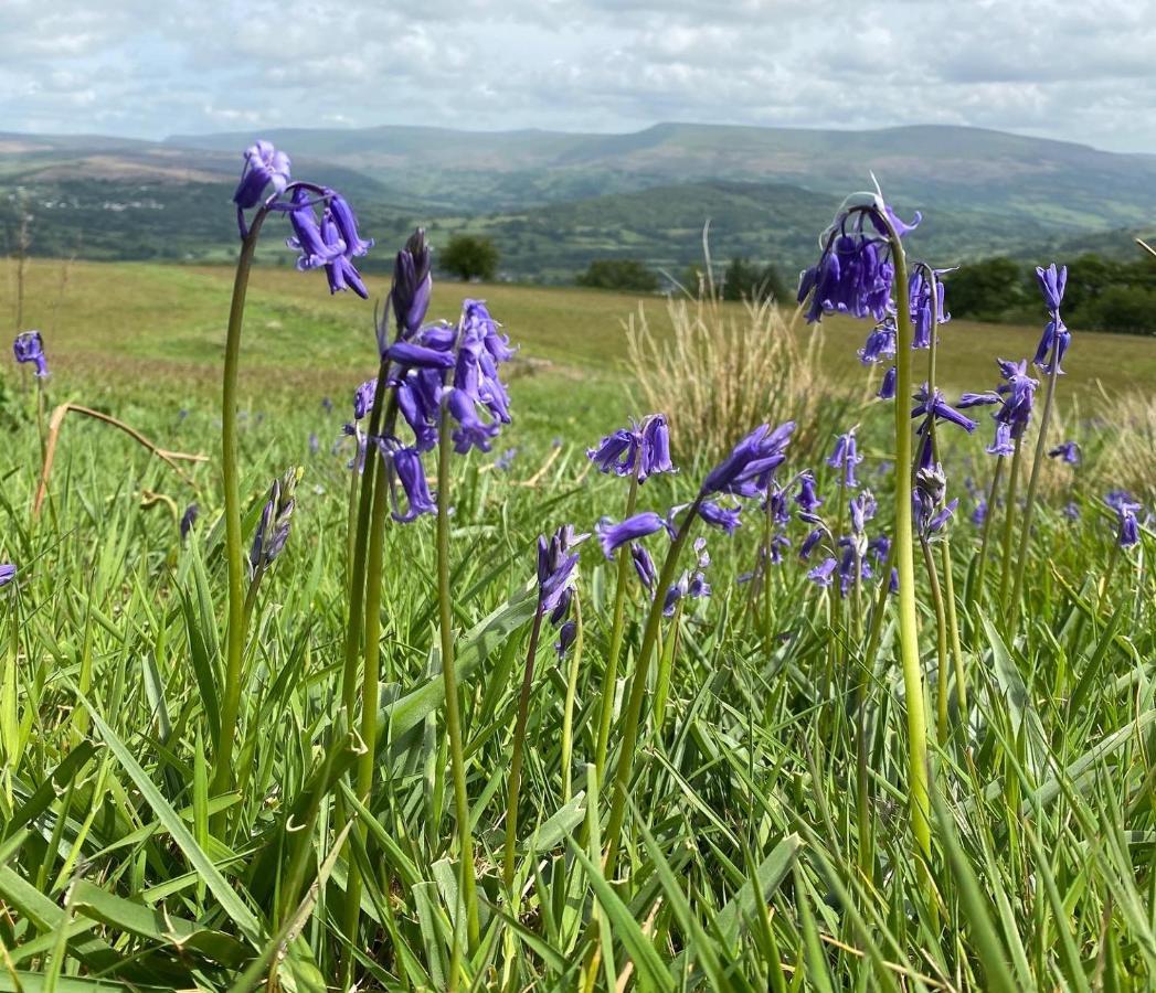 Vila Pant Llwyd Farm Llangynidr Exteriér fotografie