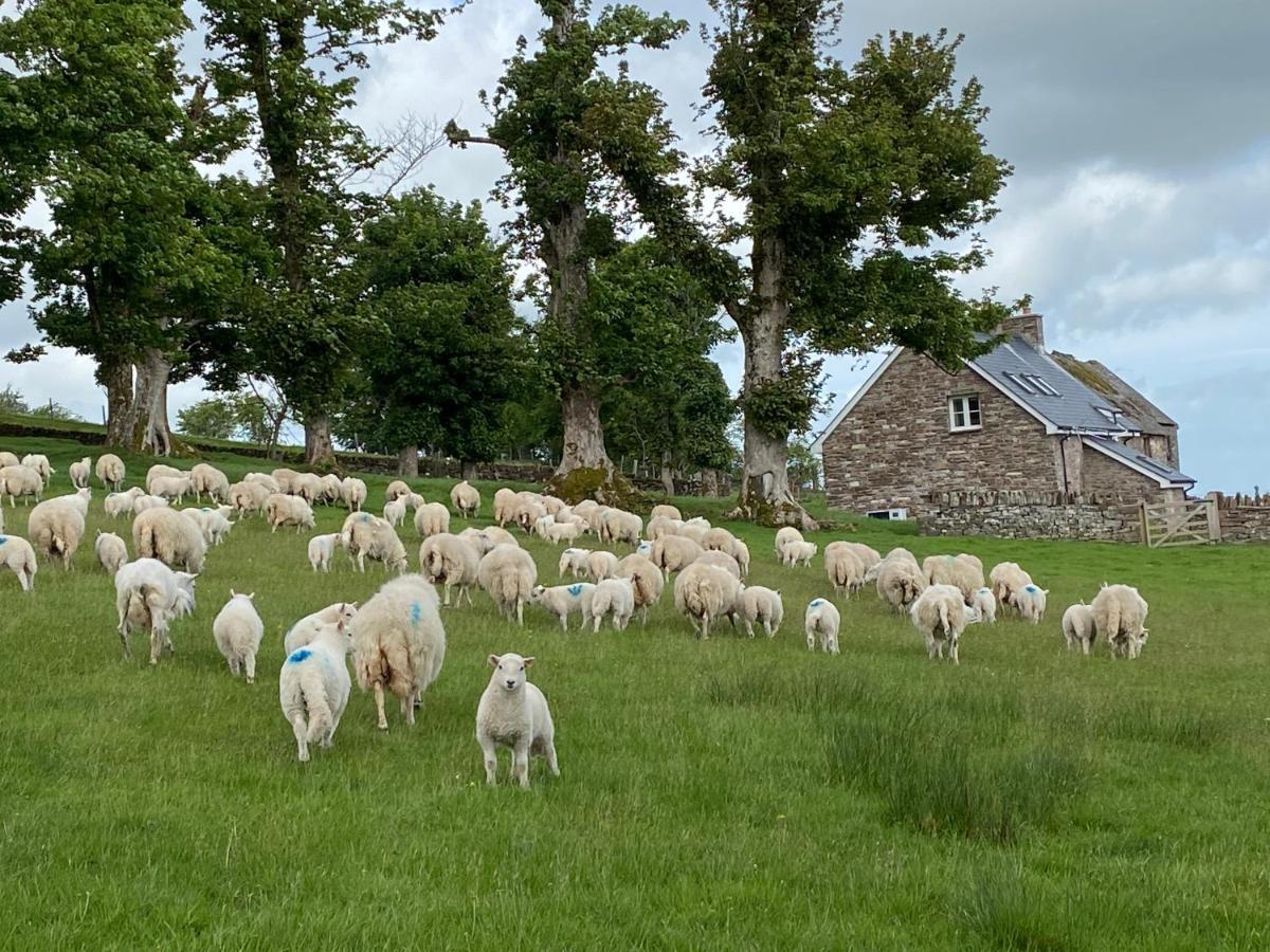Vila Pant Llwyd Farm Llangynidr Exteriér fotografie