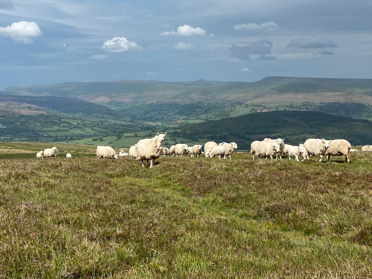 Vila Pant Llwyd Farm Llangynidr Exteriér fotografie